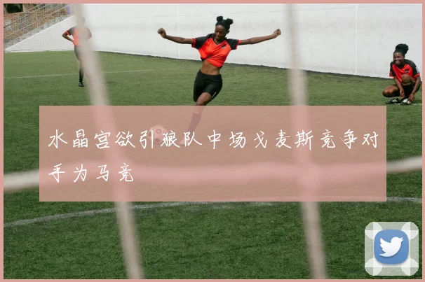 水晶宫欲引狼队中场戈麦斯竞争对手为马竞