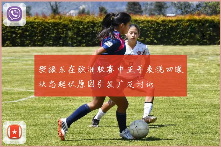 樊振东在欧洲联赛中正手表现回暖状态起伏原因引发广泛讨论