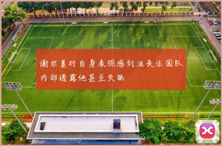 谢尔基对自身表现感到沮丧法国队内部透露他甚至失眠